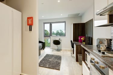 Premium Plus Studio at Cricket Field Court, Prince of Wales Road, University Of Exeter, Exeter, EX44FU - Image 3